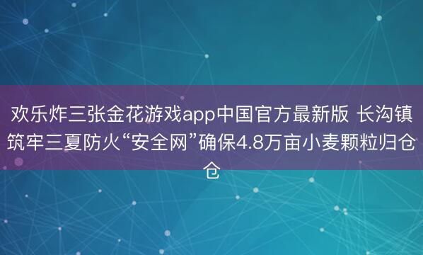 欢乐炸三张金花游戏app中国官方最新版 长沟镇筑牢三夏防火“安全网”确保4.8万亩小麦颗粒归仓